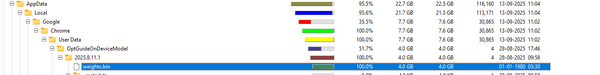 Taming the Digital Hoarder: What I Learned From Deleting a Mystery Chrome File to Save My SSD